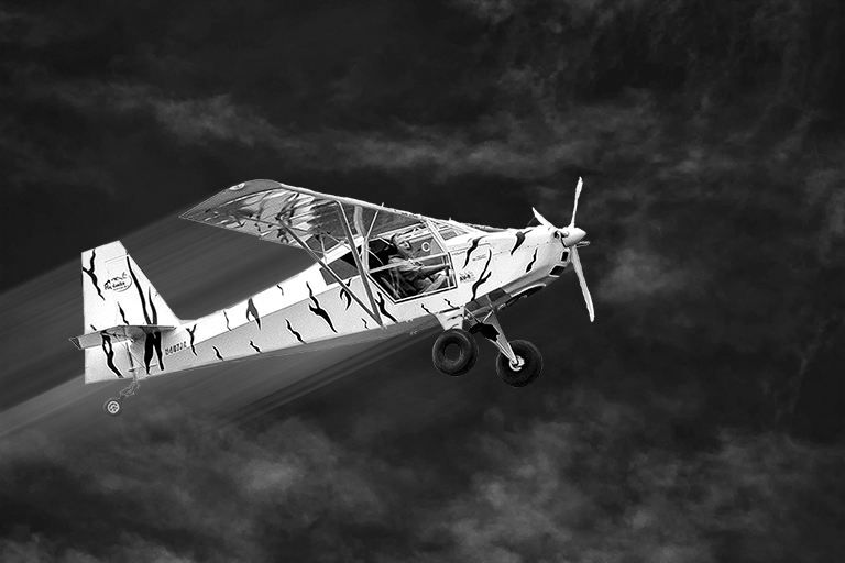 Piloted Tiger Plane